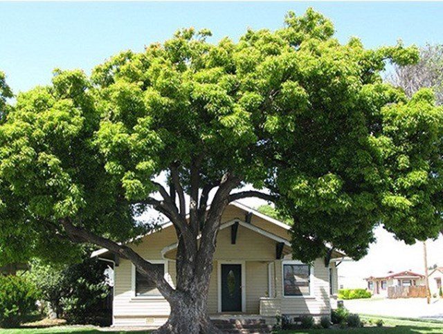 Lưu ý những đại kỵ phong thủy trước cửa nhà