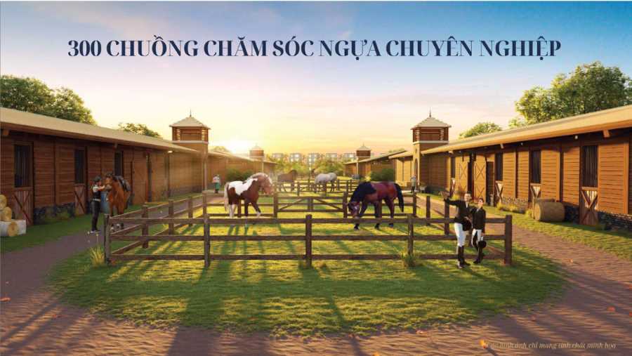 Khám Phá Vinhomes Royal Island tại Đảo Vũ Yên – Thiên Đường Sống Đẳng Cấp tien ich 3